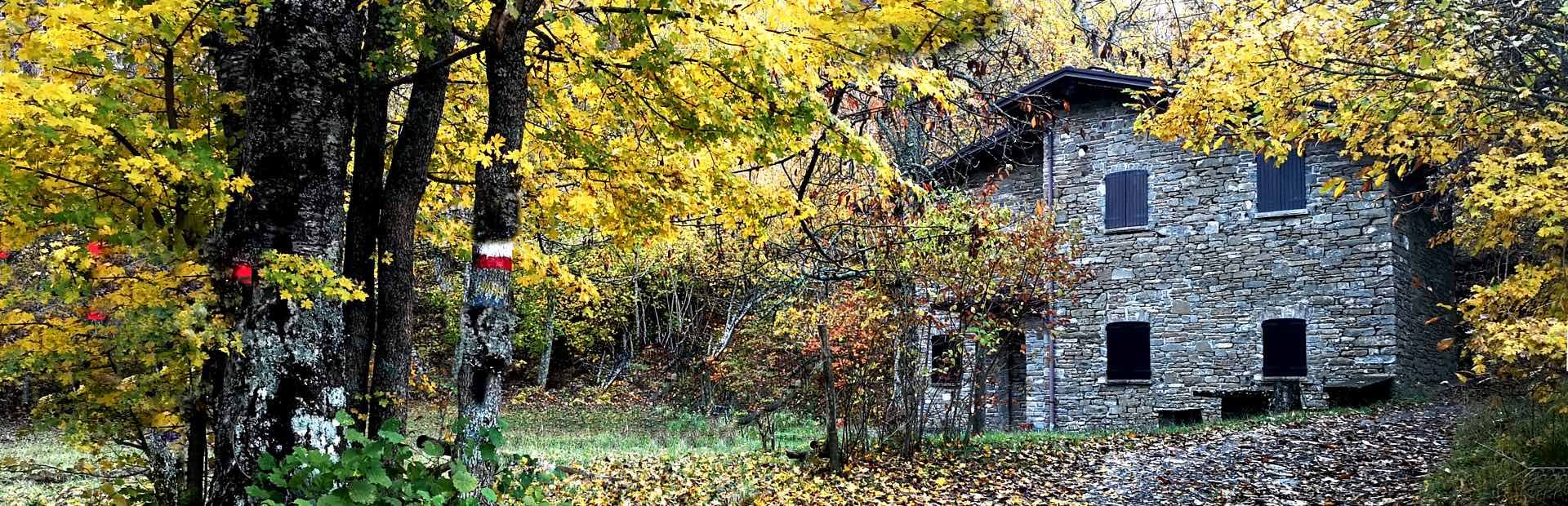 Immobiliare Valtaro : Rustici poderi casali.